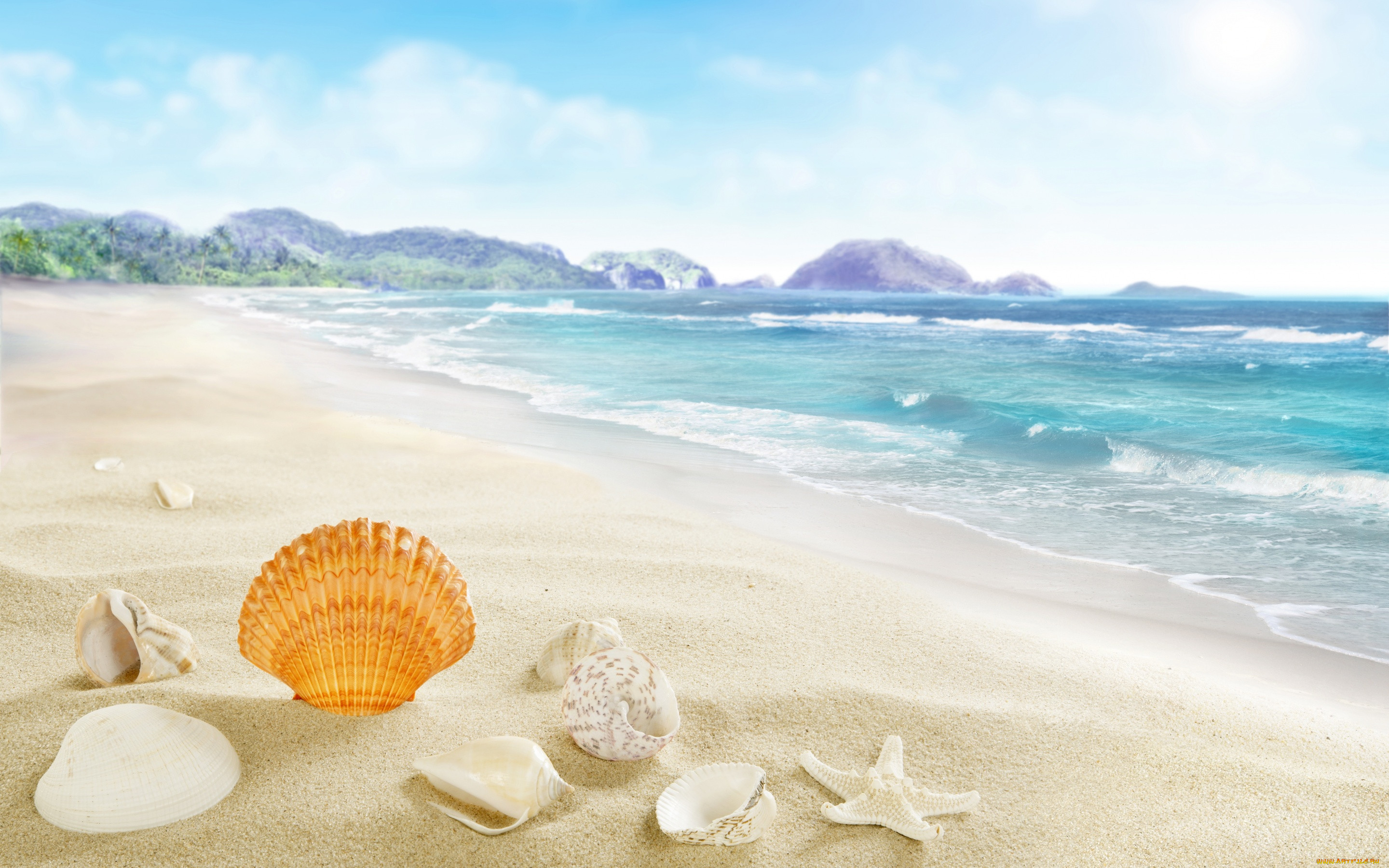 , ,  ,    spa-, sea, seashells, beach, sand